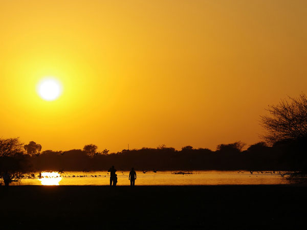 The Thol Lake in Mehsana, Gujarat