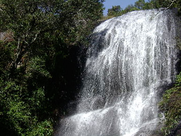 Bear Shola Falls