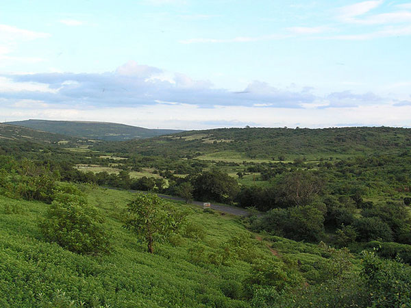 Shirgaonkar Point
