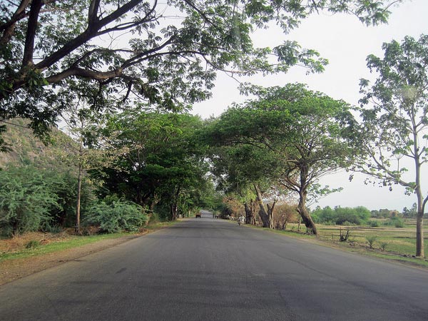How to Reach Nellore
