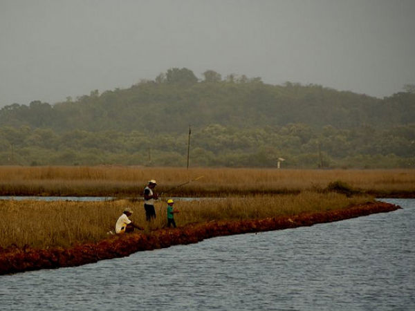 One of the Creeks in Goa