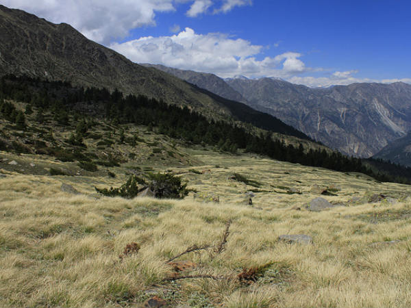 Kinnaur