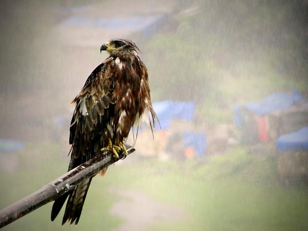 Enjoying The Shower