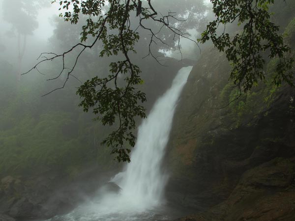 Monsoon Glory At The Waterfalls