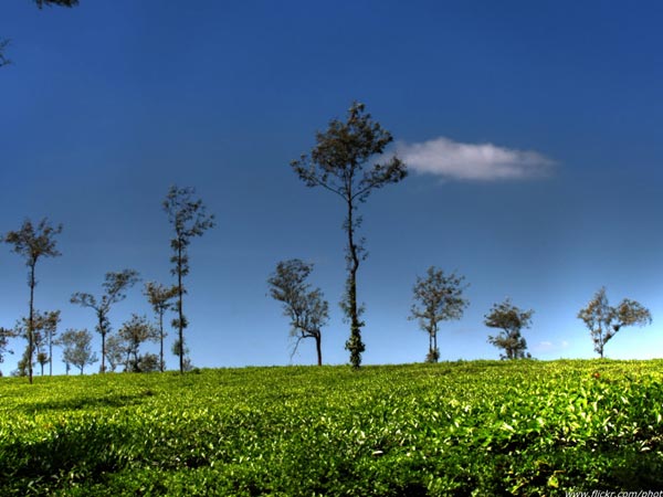 Coorg