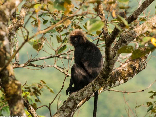 Indira Gandhi Wildlife Sanctuary and National Park