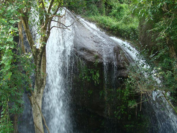 Monkey Falls