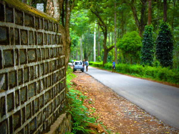 How to Reach Yercaud