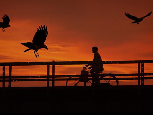 How to Reach Bhavnagar