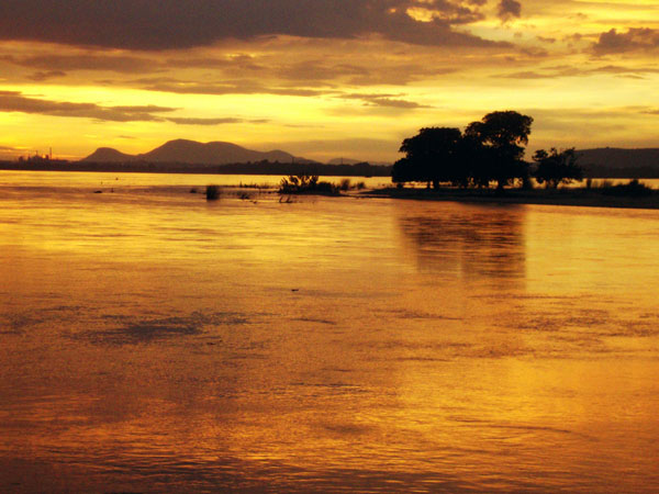 Mahanadi Cruise