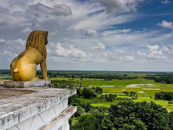 Dhauli