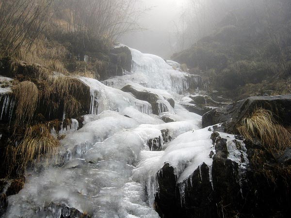 Frozen Vistas