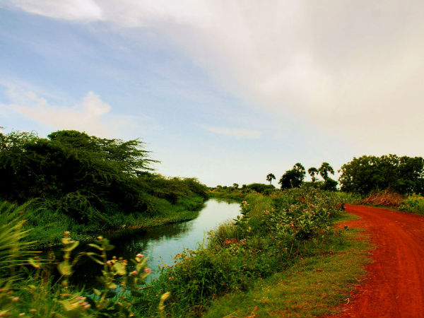 How to Reach Nellore