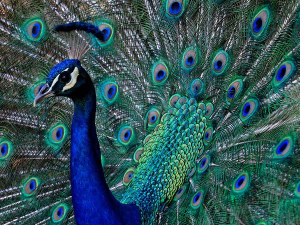 KBR National Park