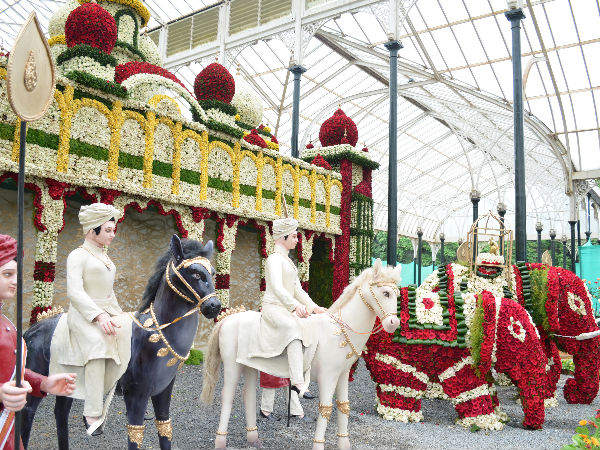 Lal Bagh Flower Show 2014
