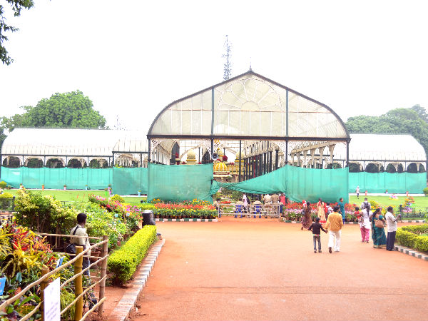 The Glass House