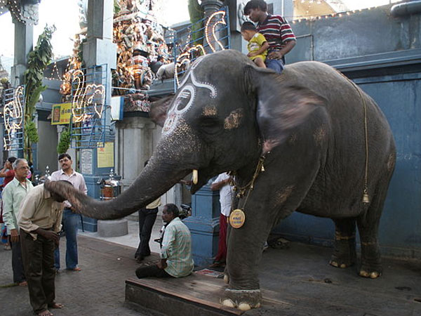 Manakula Vinayagar Temple