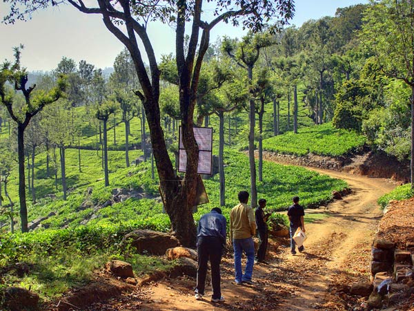 Kotagiri