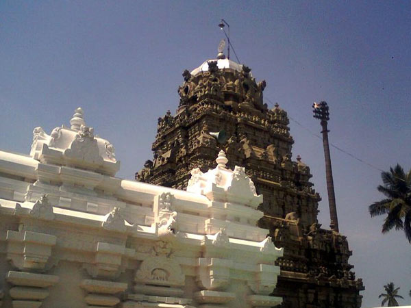 Sri Kurmam Temple