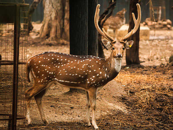 Zoological Park