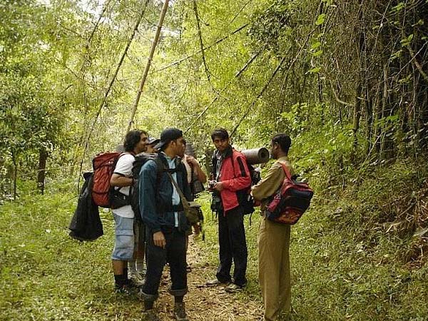 Brahmagiri Wildlife Sanctuary