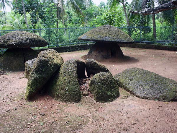Ariyannur Umbrellas