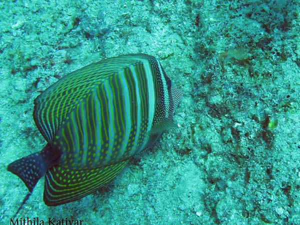 Andaman and Nicobar – Lighthouse Point