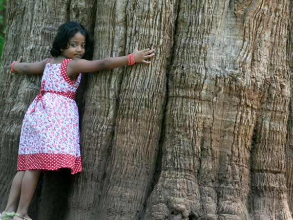 Parabikulam, Kerala