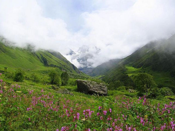Valley of Flowers