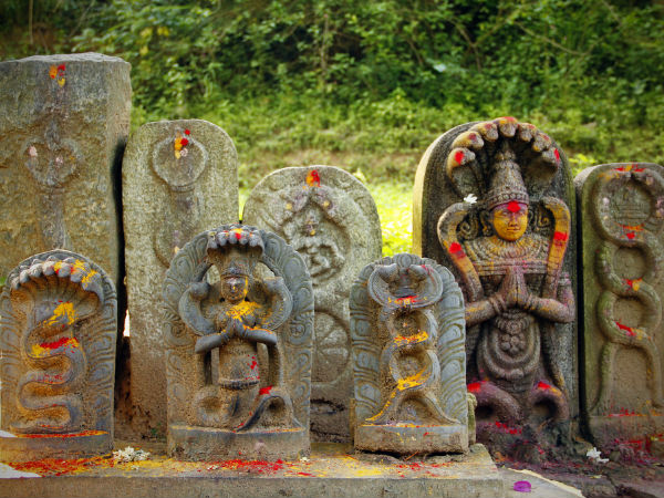 A Nagaraja Temple
