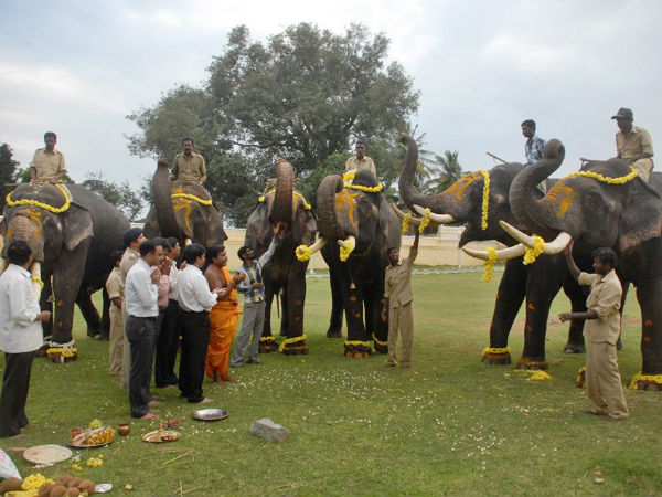 Salute of the Tuskers