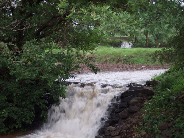 Generosity of Nature