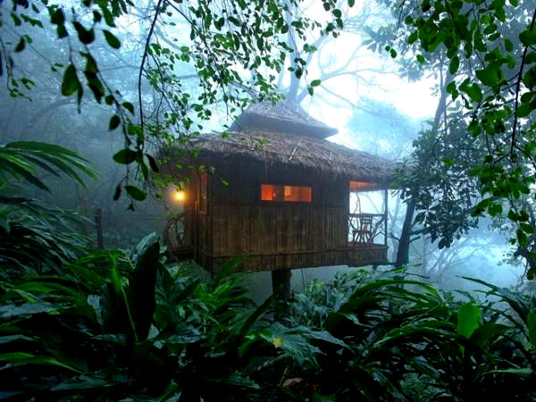 5 Amazing Treehouses in South India 5 Amazing Treehouses in South India