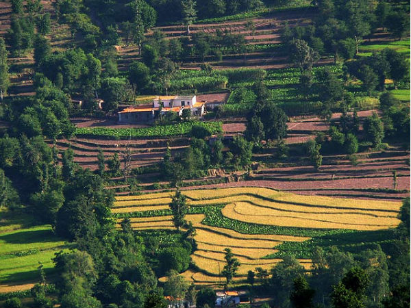 Terrace Farming