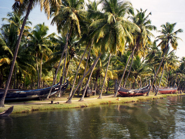 Magical Backwaters