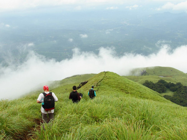 Chembra Peak Trek