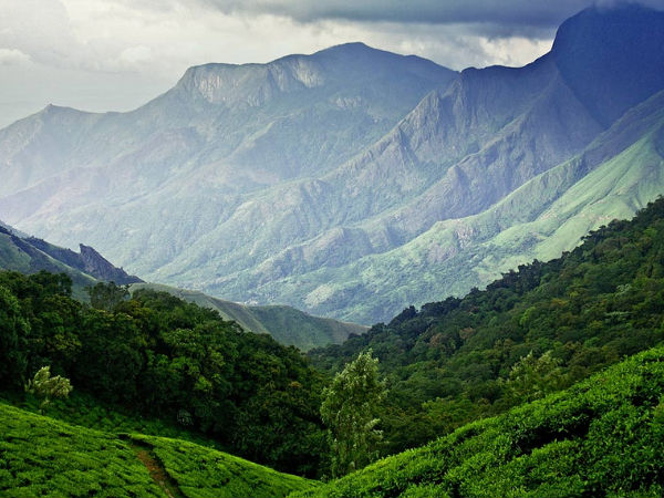 Munnar, Kerala
