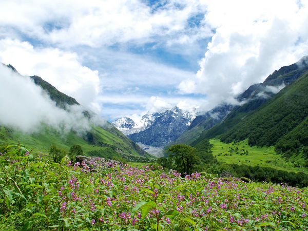 Valley of Flowers, Uttarakhand