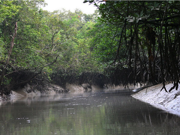 Sundarbans