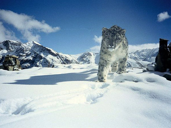 Hemis National Park