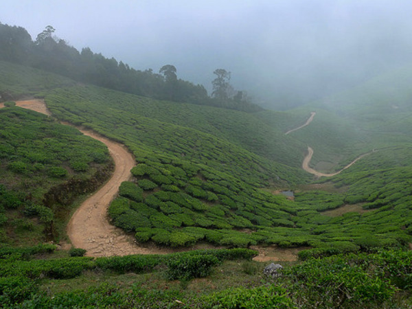 Pathway to Kolukkumalai