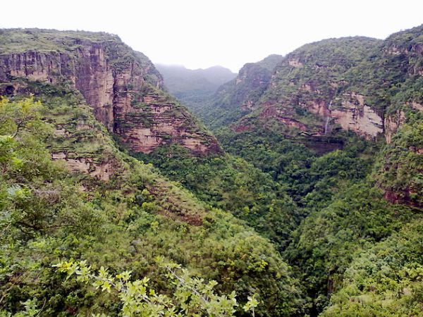 Harper Cave