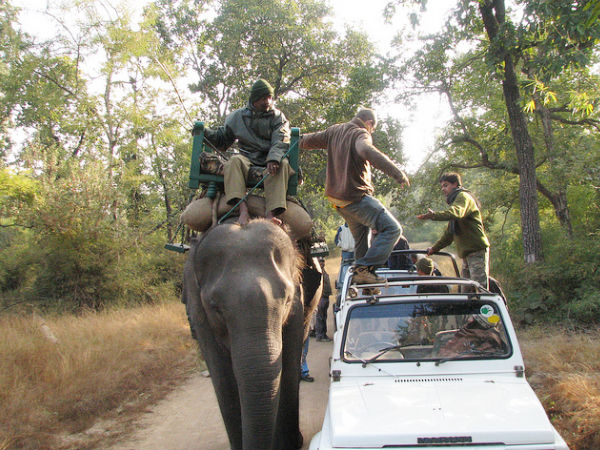 Elephant Ride