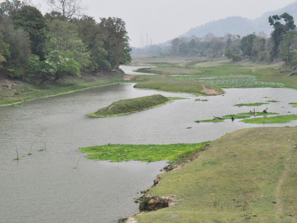 Kaziranga National Park