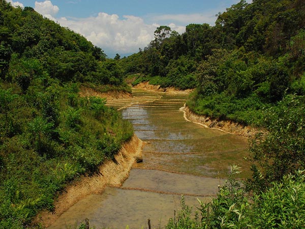 Imphal Valley