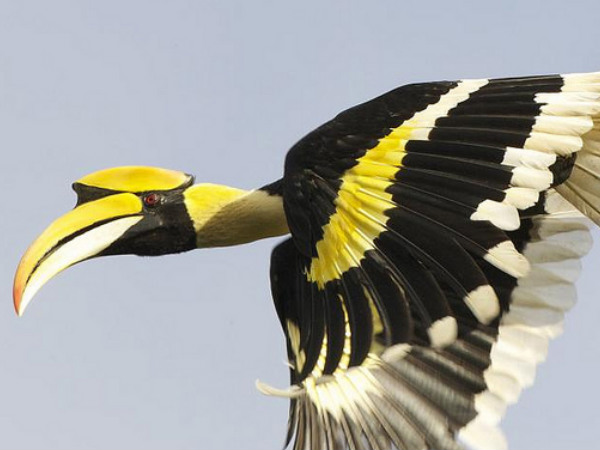 Itanagar Wildlife Sanctuary