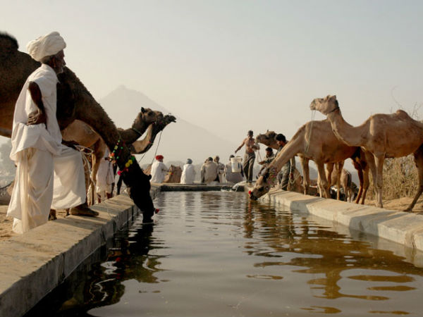 What is the Pushkar Camel Fair?