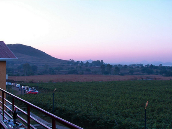 The 5 Vineyards of India The 5 Vineyards of India