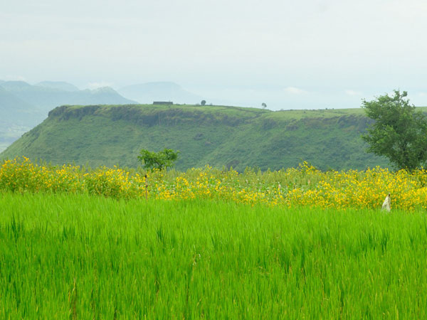Key Attractions of Kaas Plateau