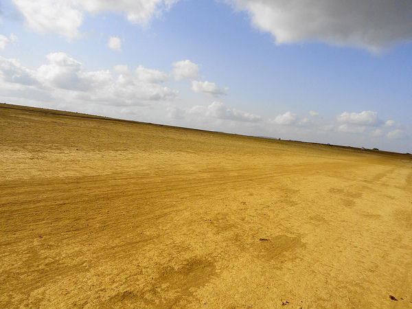 Kaas Plateau to Pune
